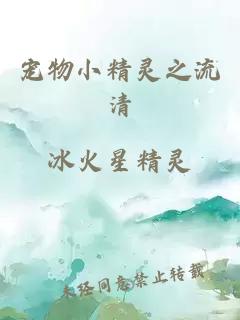 宠物小精灵之流清