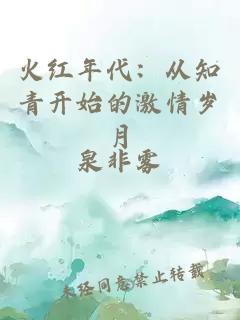 火红年代:从知青开始的激情岁月